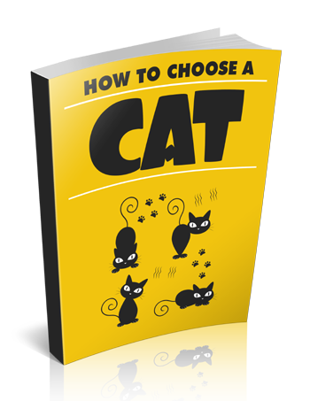 How to Choose a Cat