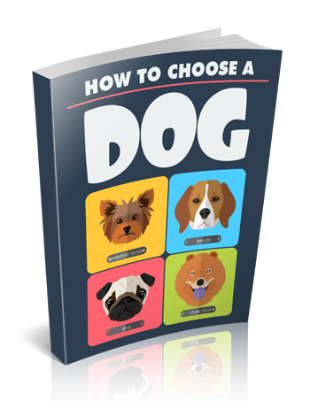 How to Choose a Dog